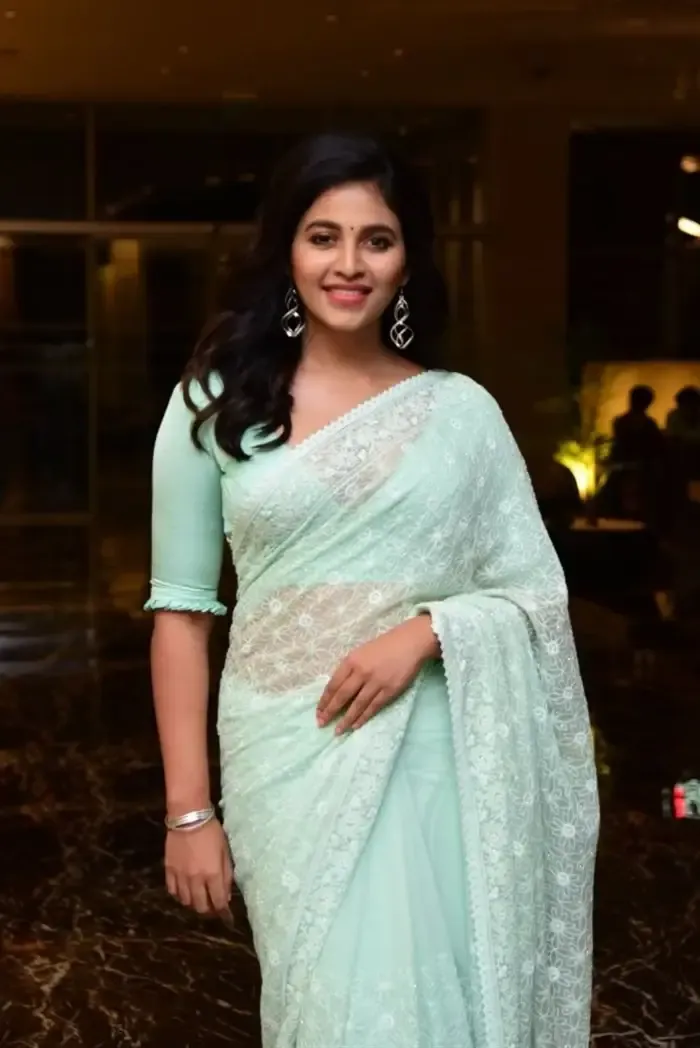 SOUTH INDIAN ACTRESS ANJALI STILLS IN TRADITIONAL LIGHT GREEN SAREE 17